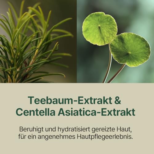 41k117lmltl.jpg Pyunkang Yul Beruhigender Akne-Reinigungsschaum - Gesichtswasch-/Reinigungsformel mit niedrigem pH-Wert - schnelle Feuch