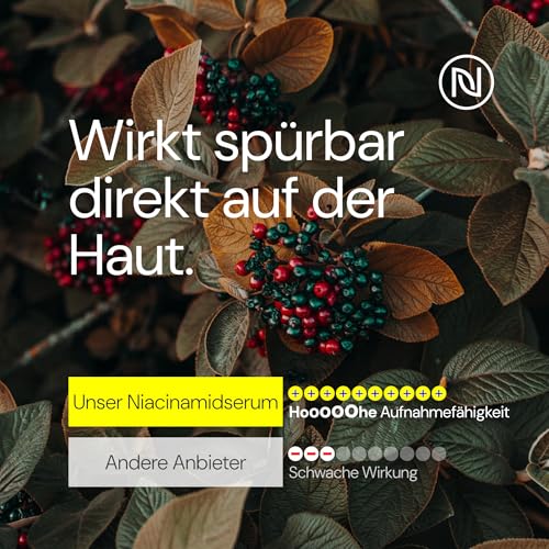 51byzxvpxbl.jpg BIO Niacinamide Serum 10% mit Zink & Hyaluron – Antipockelserum für gebleichte Haut – Ideal für reife Haut – naturkosmet