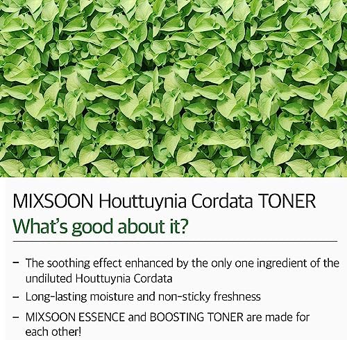 61izkvkwql. ac .jpg Mixsoon Heartleaf Toner für Sensibles Gesichtsmuskeltonieren im Tagesschalldämpfendem Gebiet | Mixsoon Heartleaf Toner